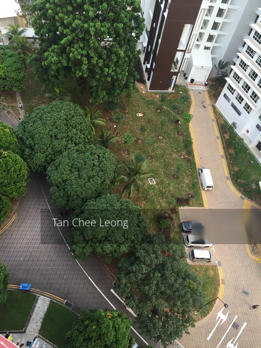 Blk 191 Bukit Batok West Avenue 6 (Bukit Batok), HDB 4 Rooms #128141562